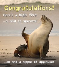 Silly Zoo Congratulations Seal of Approval Greetings Card