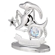 Crystocraft Capricorn Silver Plated Zodiac Star Sign