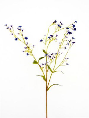 Dark Blue Gypsophila Artificial Flowers