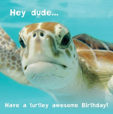 Silly Zoo Turtley Awesome Dude Birthday Greetings Card